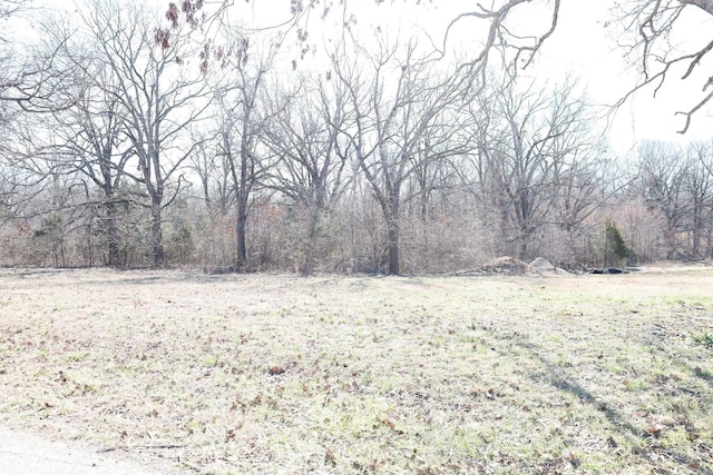 Address Not Disclosed, Pocahontas AR, 72417 land for sale