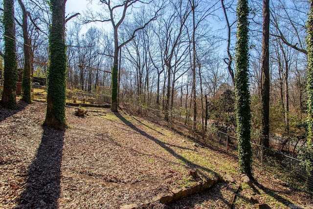 view of local wilderness