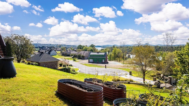 view of yard with a vegetable garden and a mountain view