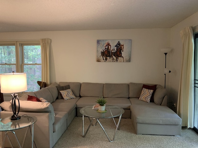 living room with carpet floors