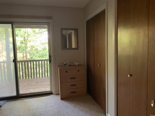 entryway featuring light colored carpet