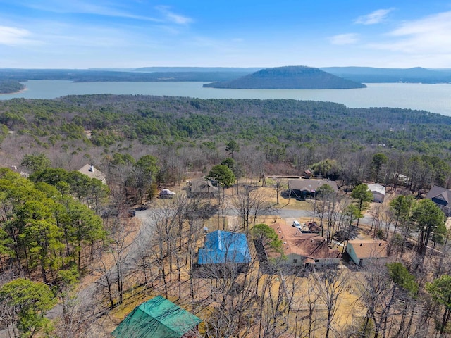 birds eye view of property featuring a water view and a wooded view