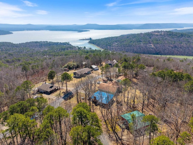 aerial view with a water view and a view of trees