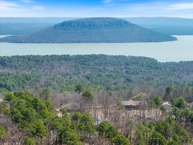 birds eye view of property with a view of trees and a water and mountain view