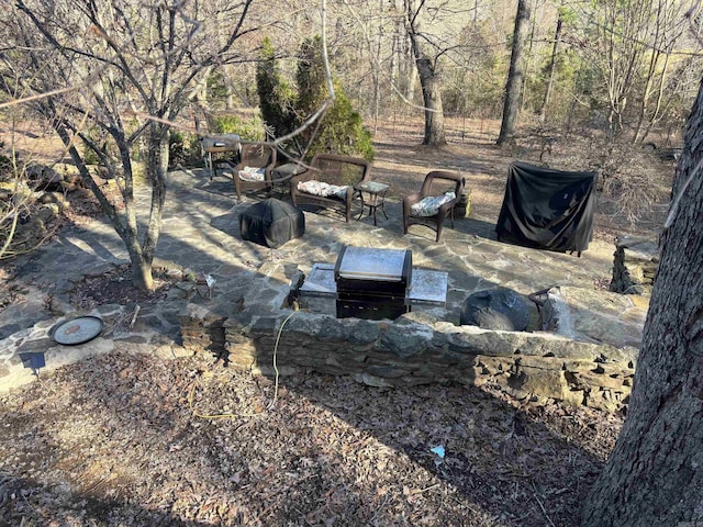 view of yard with a patio area