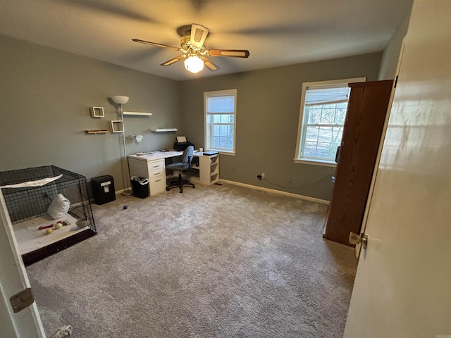 unfurnished office with a ceiling fan, carpet, and baseboards