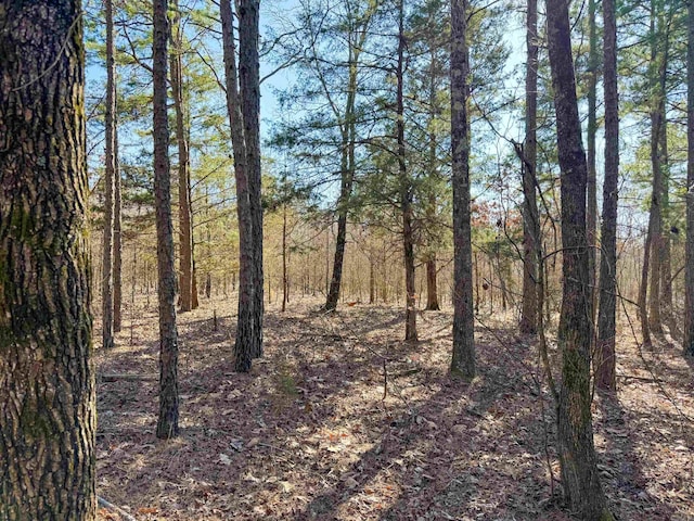 102 Guy Ln, Quitman AR, 72131 land for sale