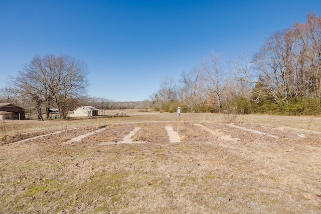 view of yard featuring a rural view