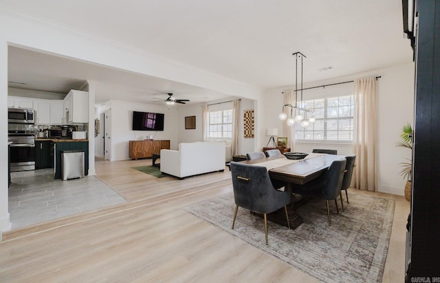 dining room featuring ceiling fan with notable chandelier, light wood-type flooring, and visible vents