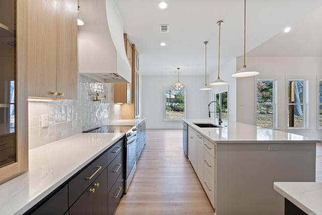 kitchen with stainless steel appliances, tasteful backsplash, light wood-style flooring, a sink, and premium range hood