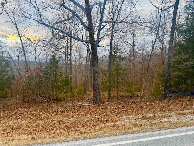 Listing photo 2 for 16 S Bend Dr Unit Lot13, 14, 15, Horseshoe Bend AR 72512