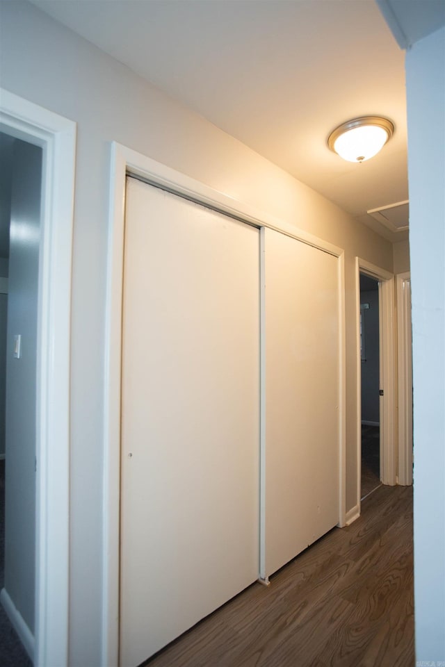 hallway featuring wood finished floors