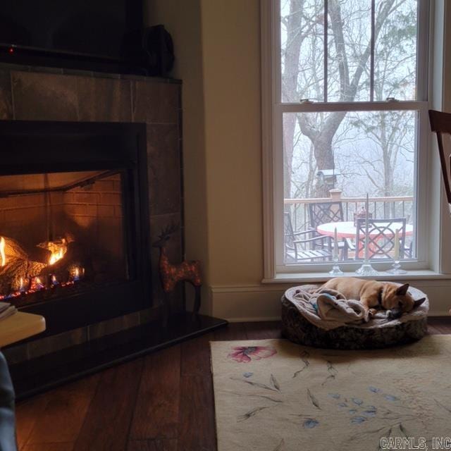 details with a tiled fireplace and wood finished floors