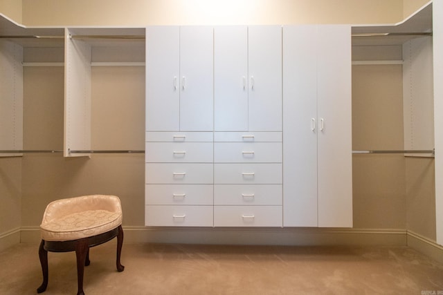 spacious closet with light colored carpet