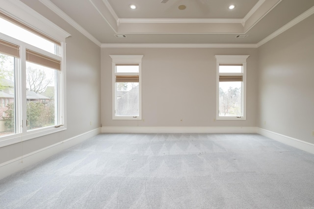 unfurnished room with plenty of natural light, a raised ceiling, and light colored carpet