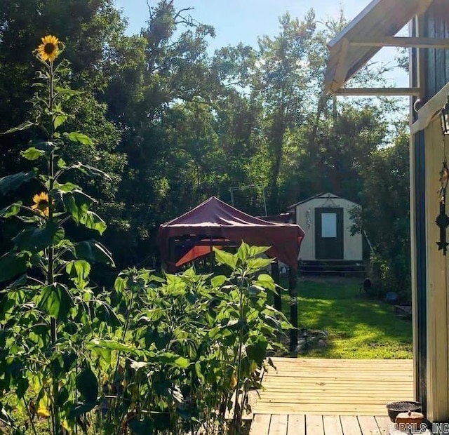 view of shed