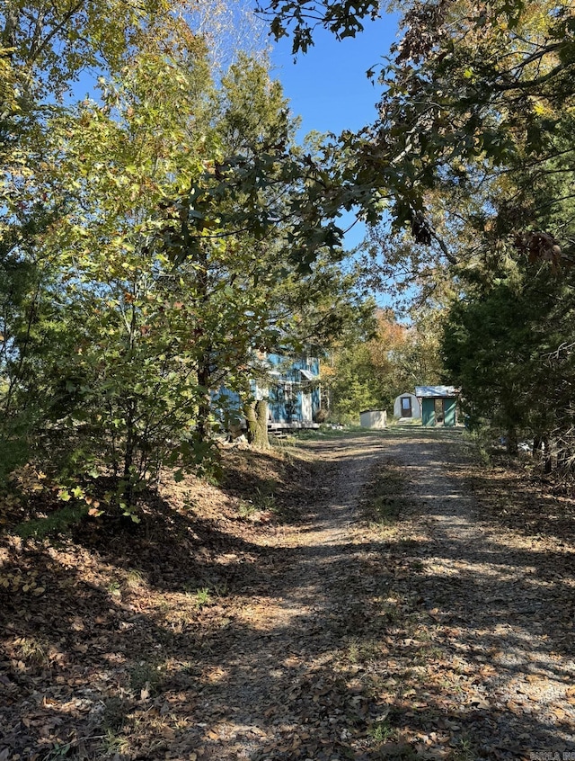 view of road featuring dirt driveway