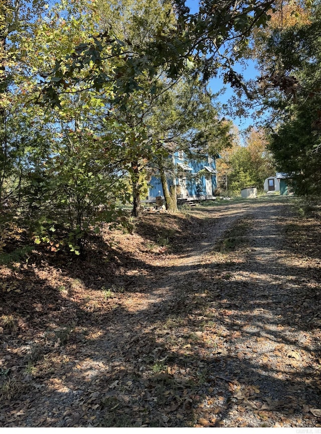 view of road with dirt driveway