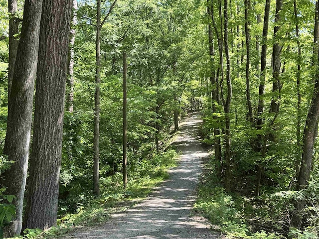 127 Emperado Way, Hot Springs Village, AR 71909 - view of street with a forest view