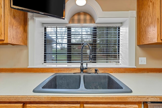 kitchen with light countertops and a sink