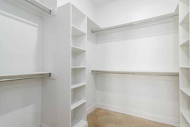 view of spacious closet