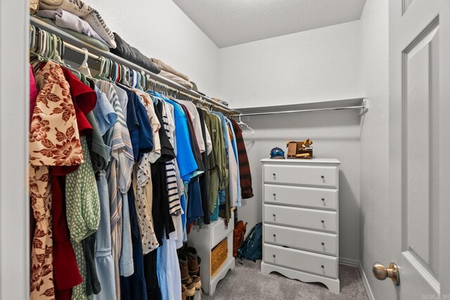 walk in closet with carpet flooring