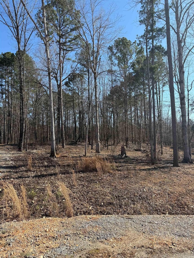 Listing photo 2 for LOT11 Clear View Dr, Benton AR 72019