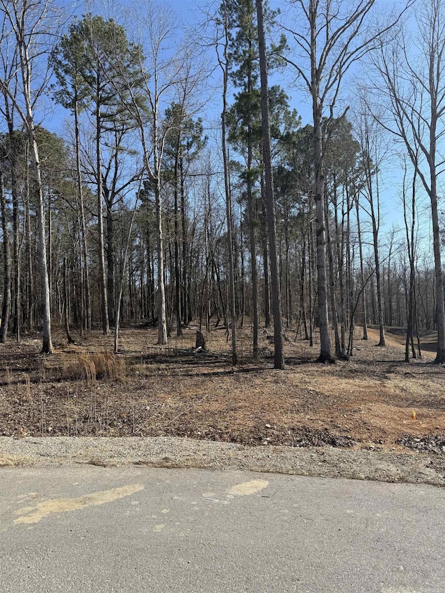 Listing photo 3 for LOT11 Clear View Dr, Benton AR 72019