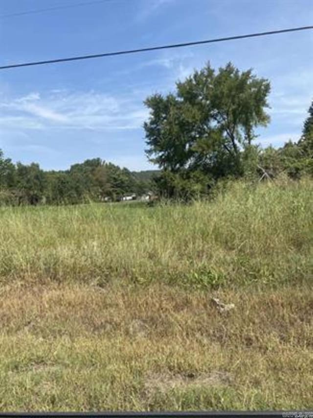 Address Not Disclosed, Greenbrier AR, 72058 land for sale