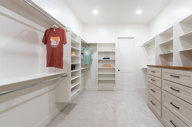 view of walk in closet