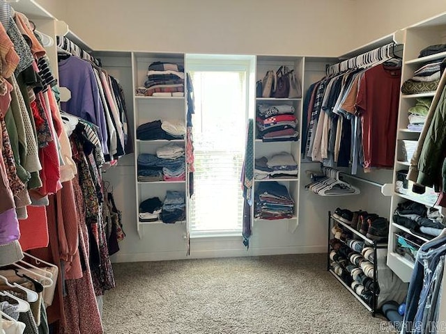 spacious closet featuring carpet