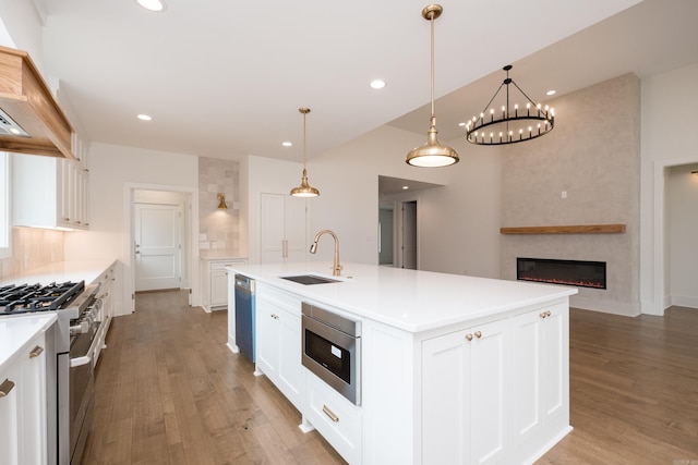 kitchen with stainless steel appliances, light wood finished floors, custom exhaust hood, and a sink