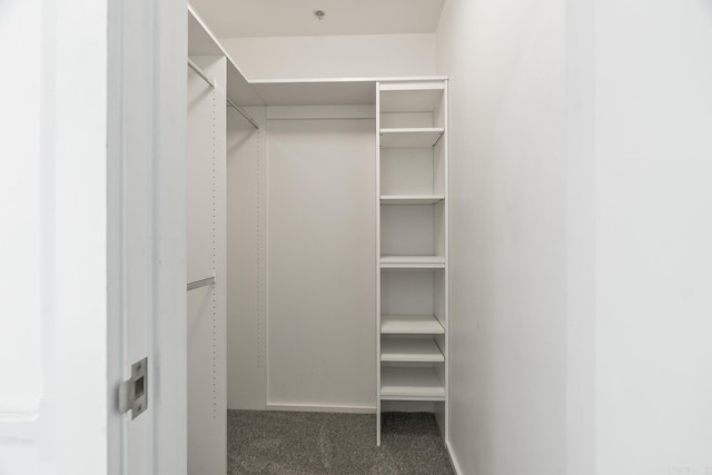 walk in closet with carpet