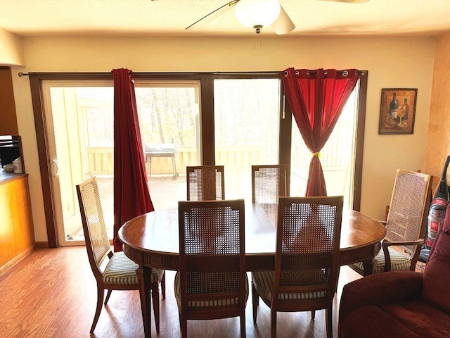 dining room with light wood-style floors, a healthy amount of sunlight, and a ceiling fan