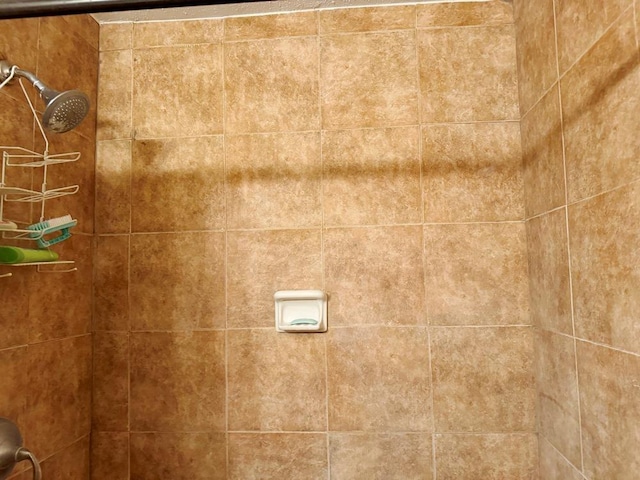 interior details with tiled shower