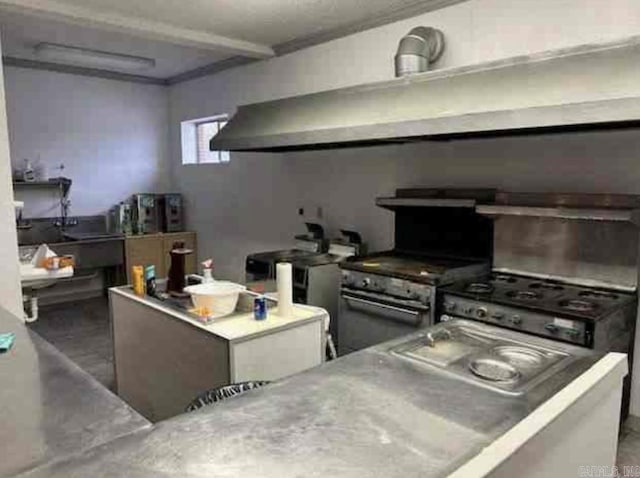 kitchen featuring stainless steel stove