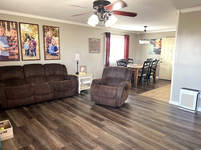 living room featuring ornamental molding, dark wood finished floors, and a textured ceiling