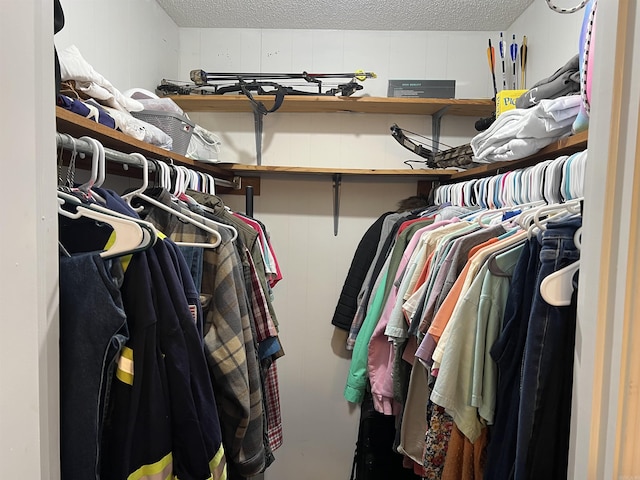 view of spacious closet