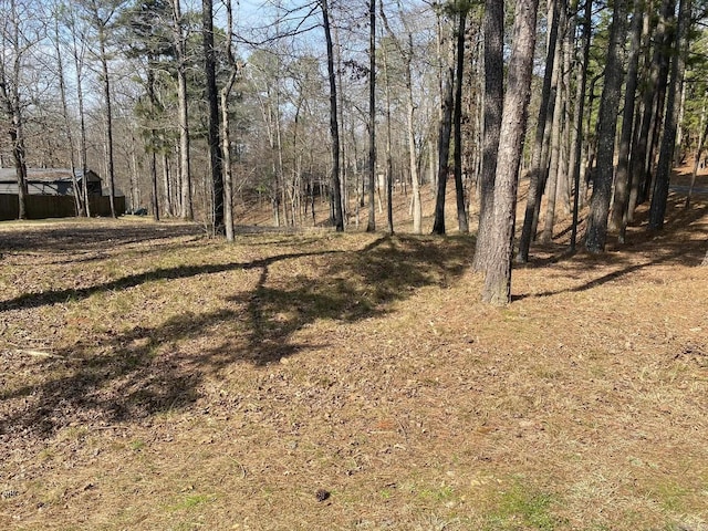 Listing photo 3 for Address Not Disclosed, Hot Springs AR 71913