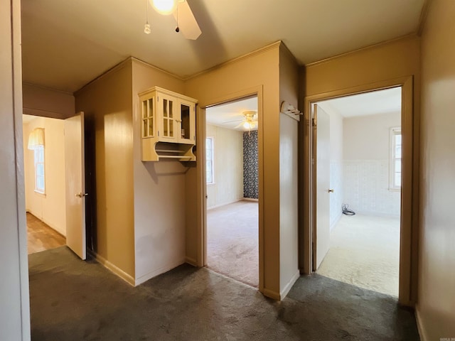 hallway with carpet floors, a healthy amount of sunlight, and crown molding