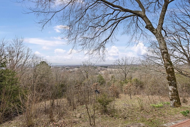 view of local wilderness