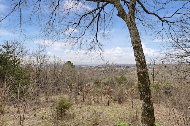 view of landscape