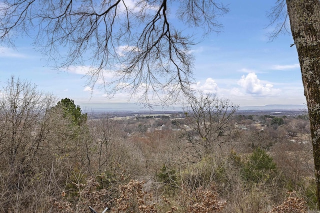 view of landscape