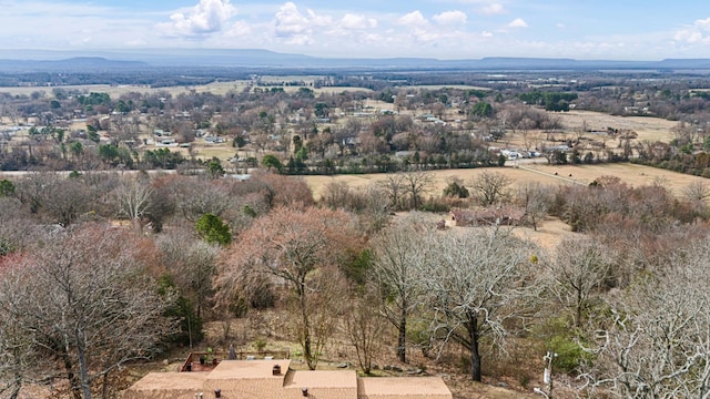 bird's eye view