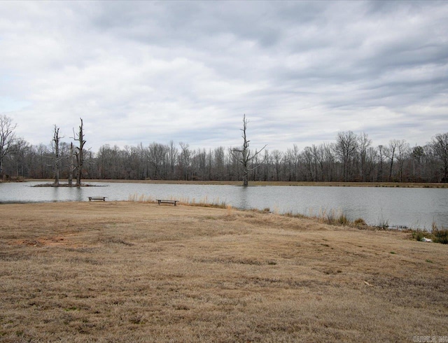 property view of water