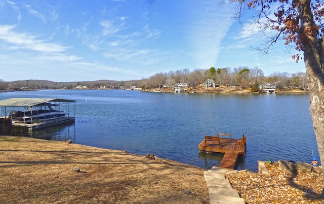 dock area with a water view