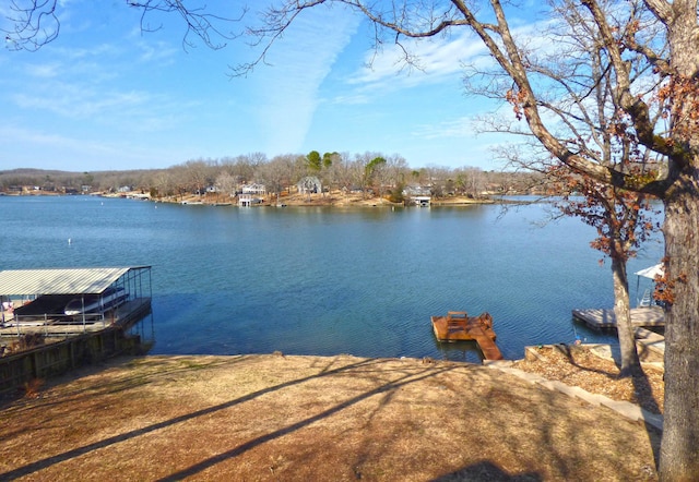 dock area with a water view