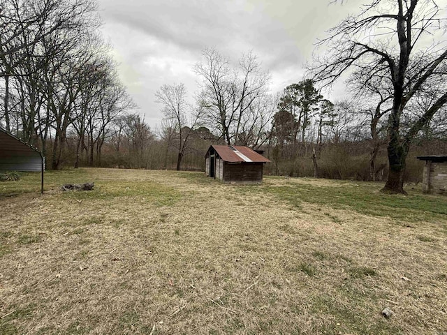 view of yard featuring a storage shed and an outdoor structure