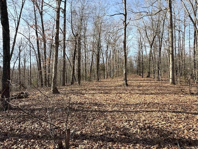 00 Axel Dr, Marshall AR, 72650 land for sale