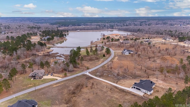 bird's eye view featuring a water view and a view of trees